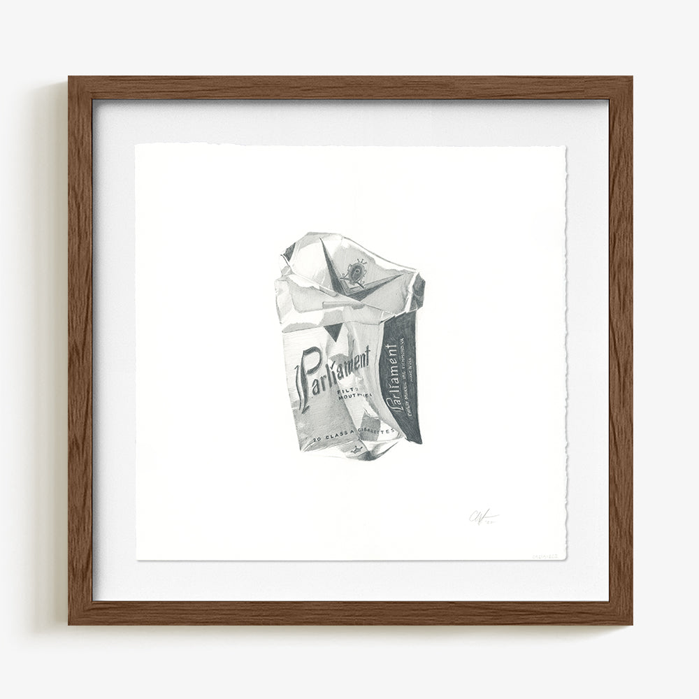 Parliament by Claire Salvo, 2026, Graphite on hot press paper