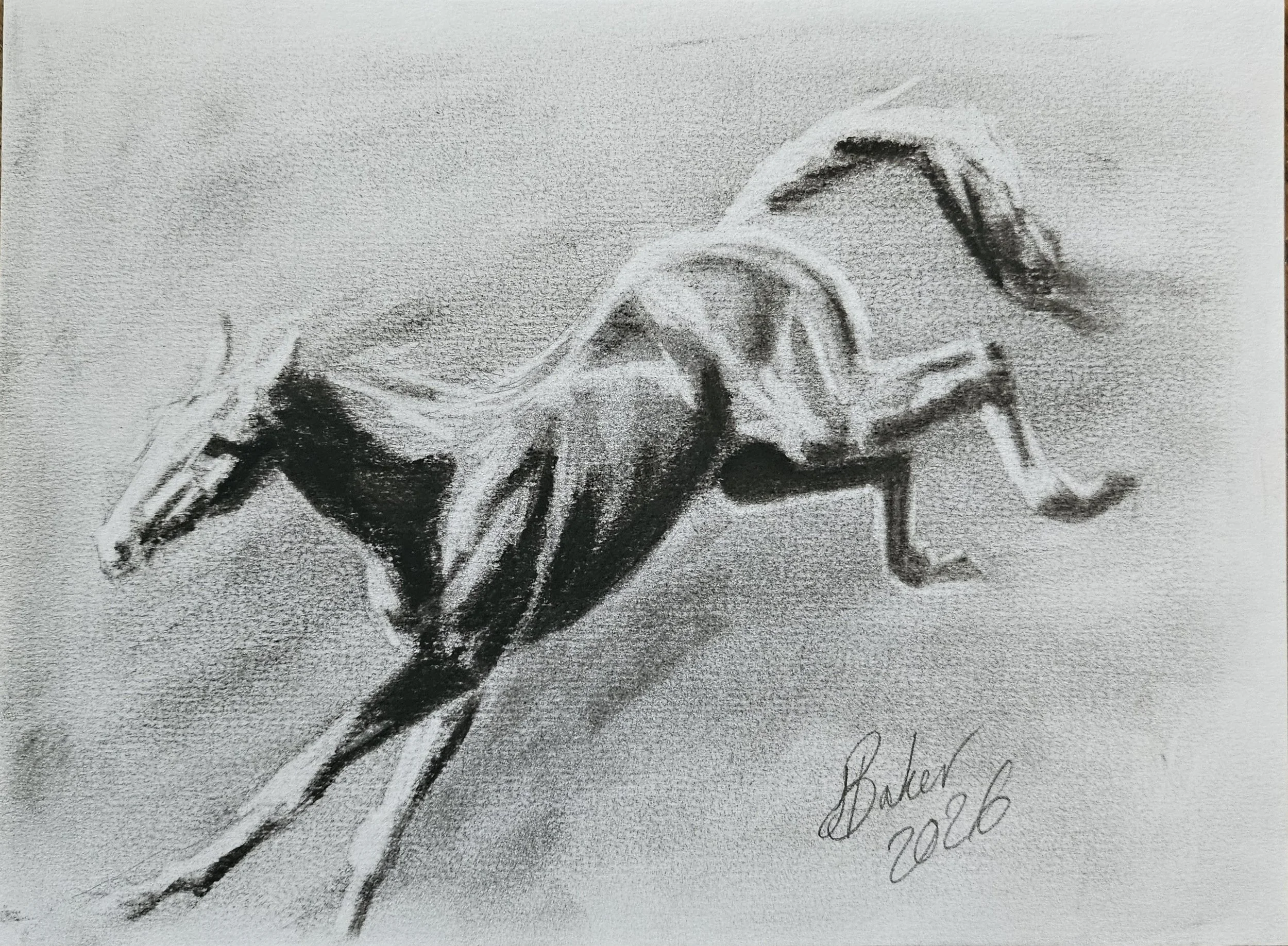 Charcoal Horse by Sylvie Baker — Oil on Canvas