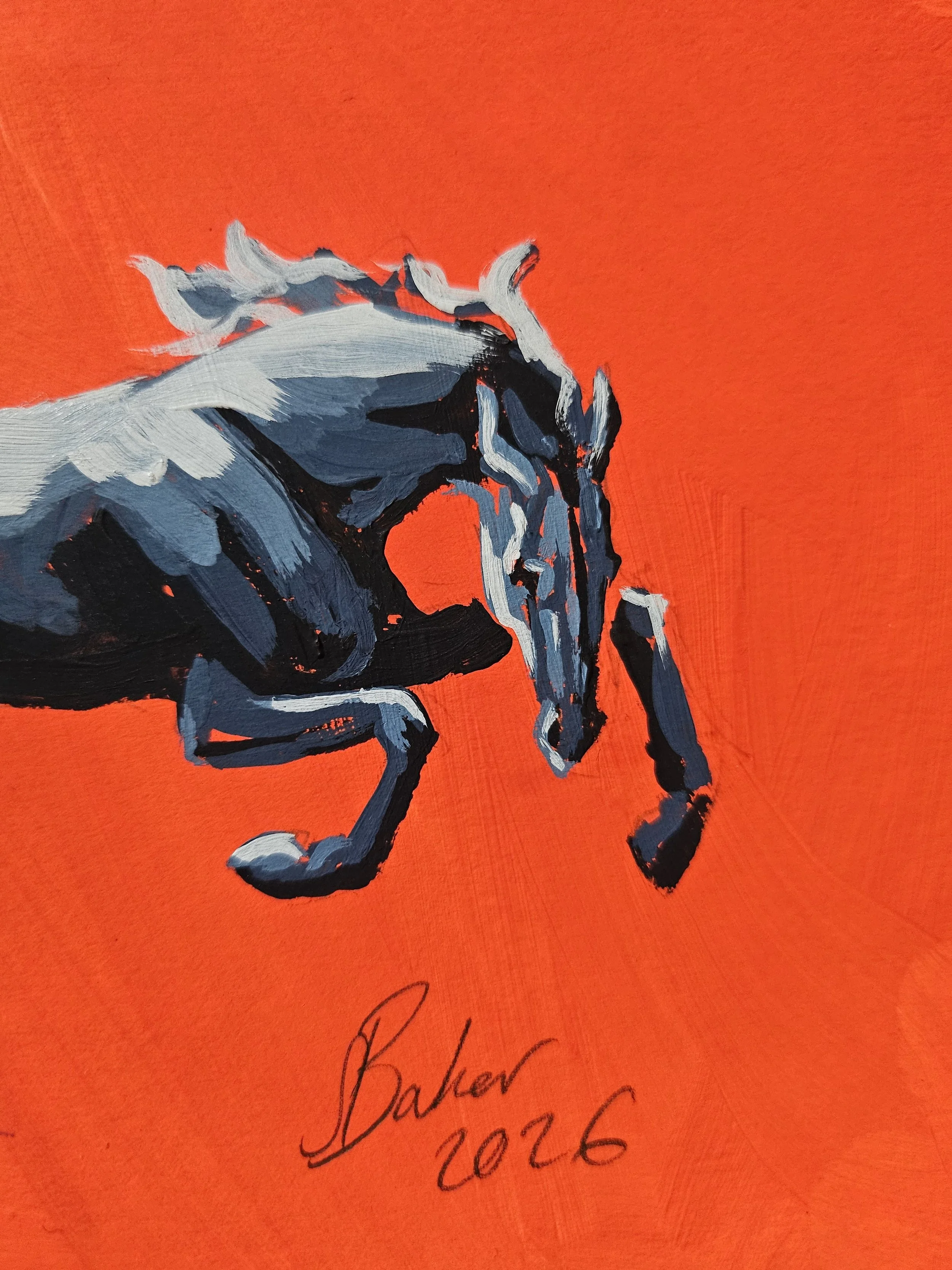 'Leaping Horse' by Sylvie Baker — Acrylic on Paper