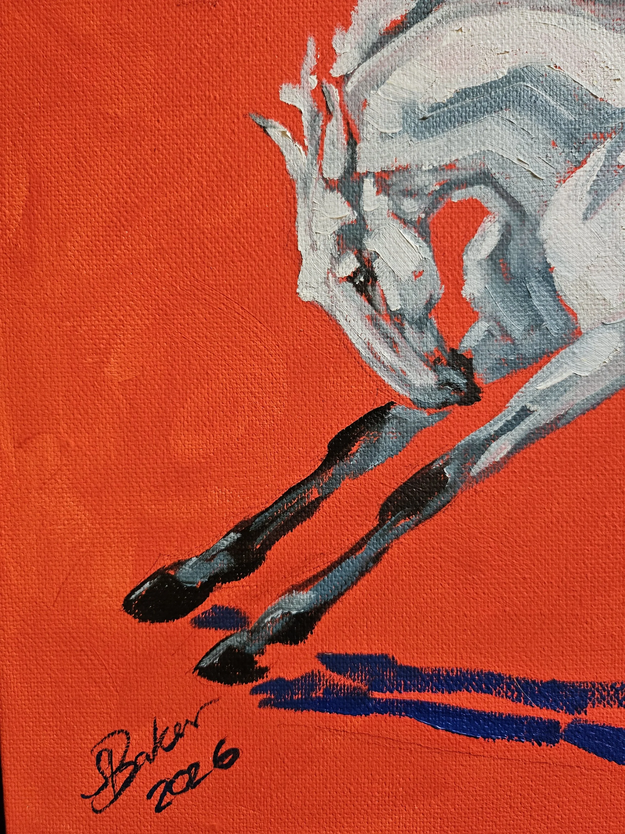 Leaps and Bounds by Sylvie Baker